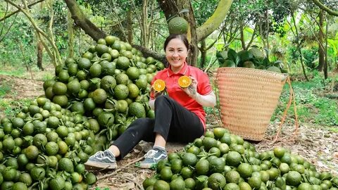 90% người nhầm lẫn: 'Trơ chọi' hay 'trơ trọi'?