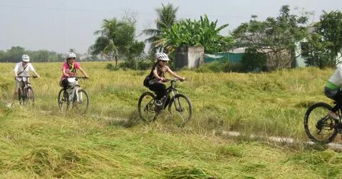 10X trúng tuyển 6 đại học top đầu châu Âu nhờ mê truyện trinh thám