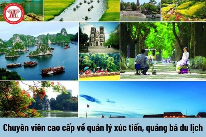 Hotspot Matrix: Khát vọng toàn cầu hóa video ngắn