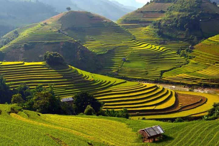 Xu hướng Hết Hà Tăng, tới dàn