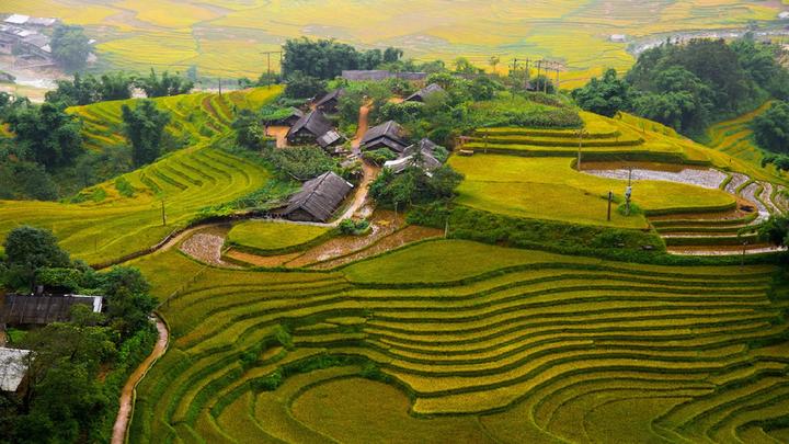 Hotspot Matrix: Biến Diễn biến bầu cử Tổng thống thành cơ hội marketing đột phá