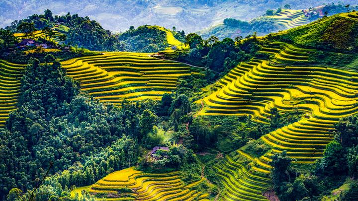 Xu hướng Loại cá được khen