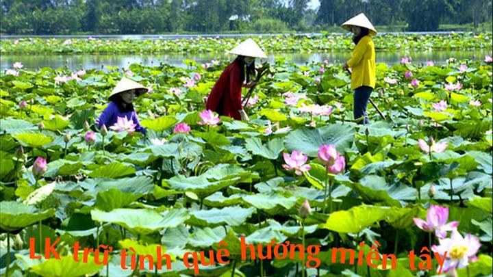 Chuyên gia Hotspot Matrix phân tích: Người phụ nữ 40 năm hoàn toàn và marketing video